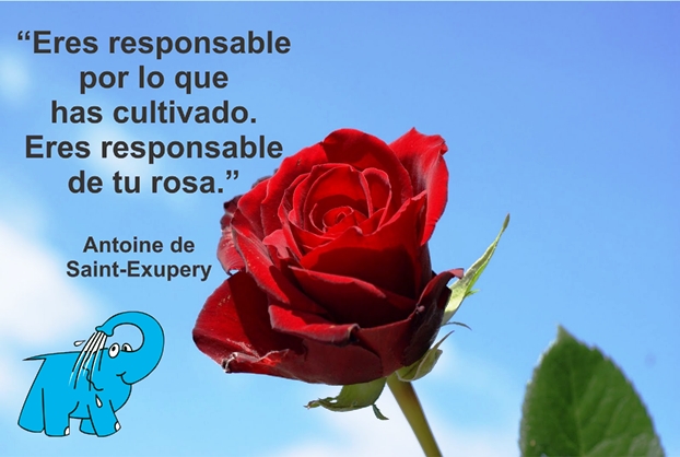 Una Enseñanza de Antoine de Saint-Exupery sore La Responsabilida, en La Frase del Día del Centro de lavado Elefante Azul de Avilés